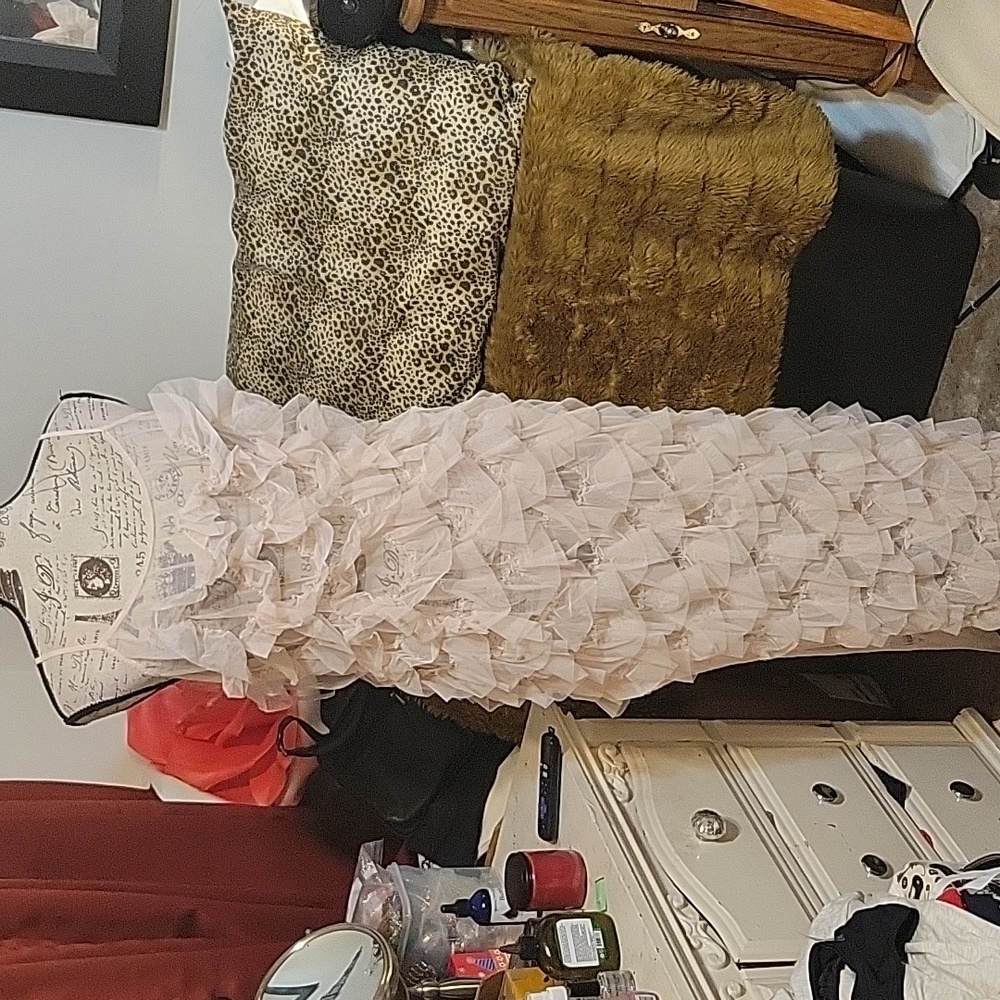 Dress by AKIRA NWT